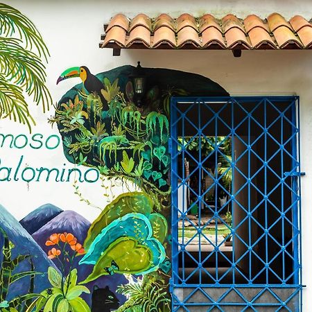 Hostal Hermoso Palomino Exterior photo