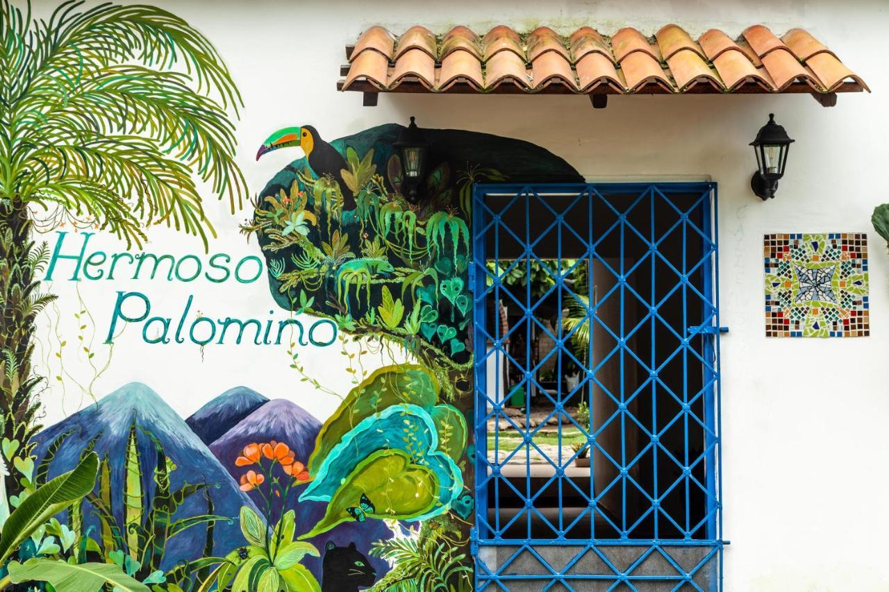 Hostal Hermoso Palomino Exterior photo