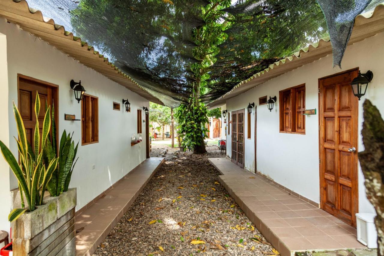 Hostal Hermoso Palomino Exterior photo