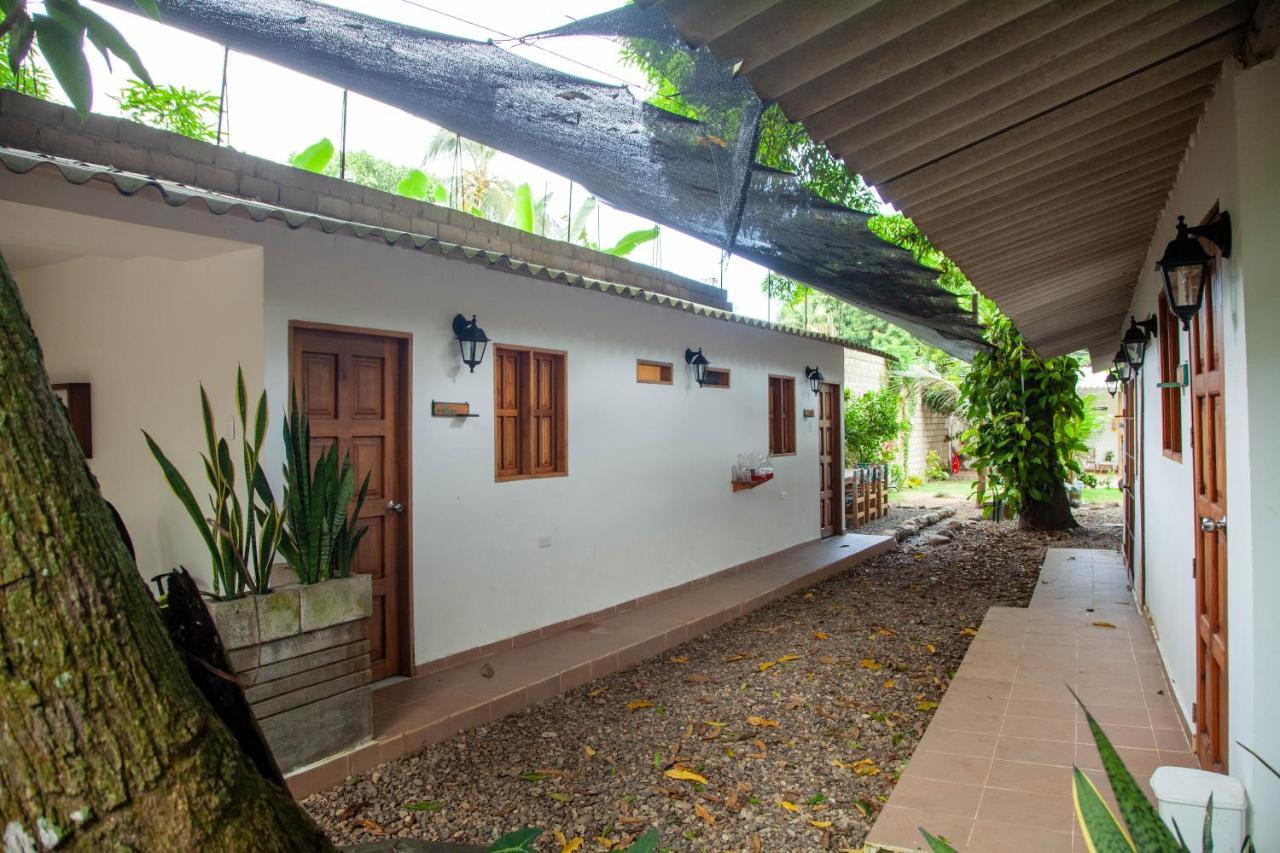 Hostal Hermoso Palomino Exterior photo