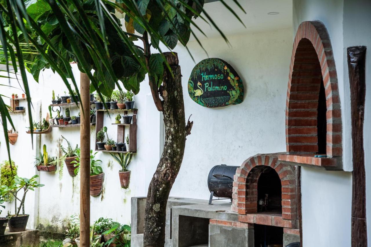 Hostal Hermoso Palomino Exterior photo
