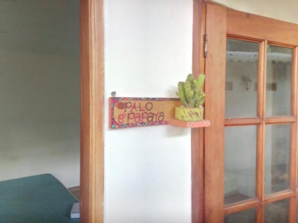 Hostal Hermoso Palomino Exterior photo