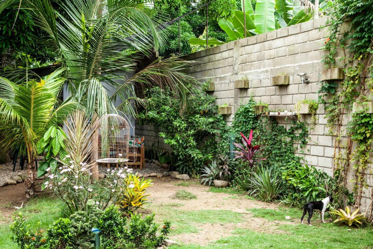 Hostal Hermoso Palomino Exterior photo