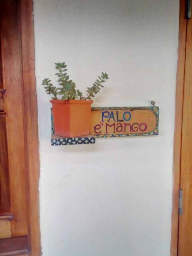 Hostal Hermoso Palomino Exterior photo