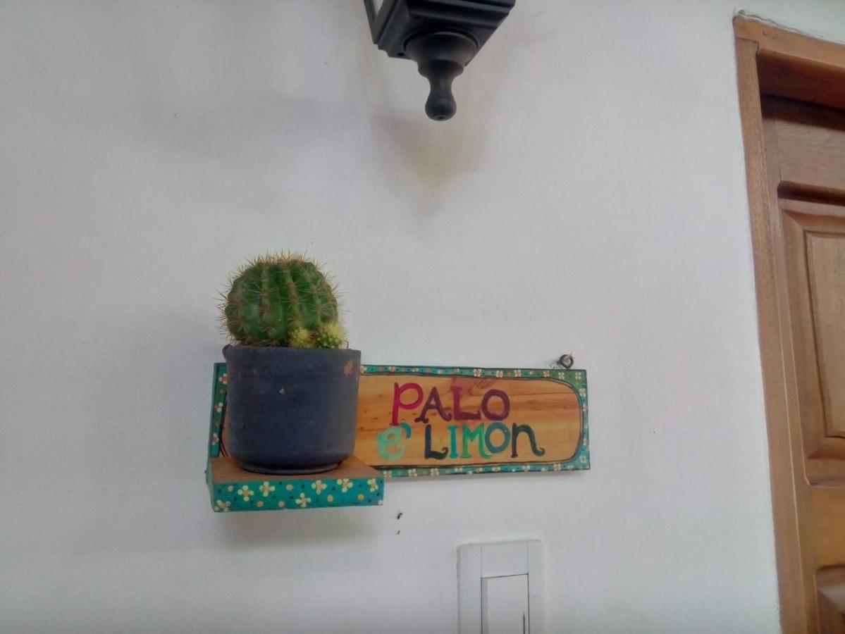 Hostal Hermoso Palomino Exterior photo