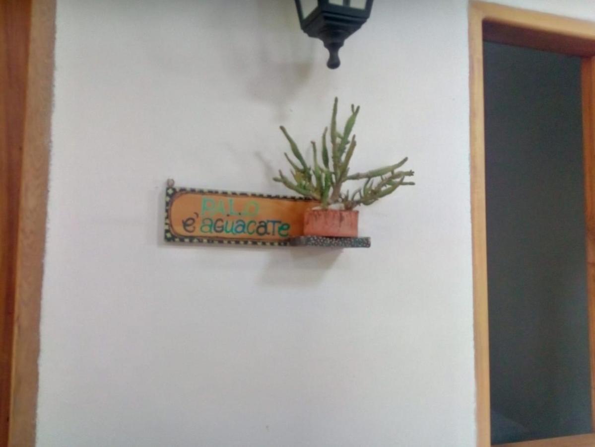 Hostal Hermoso Palomino Exterior photo