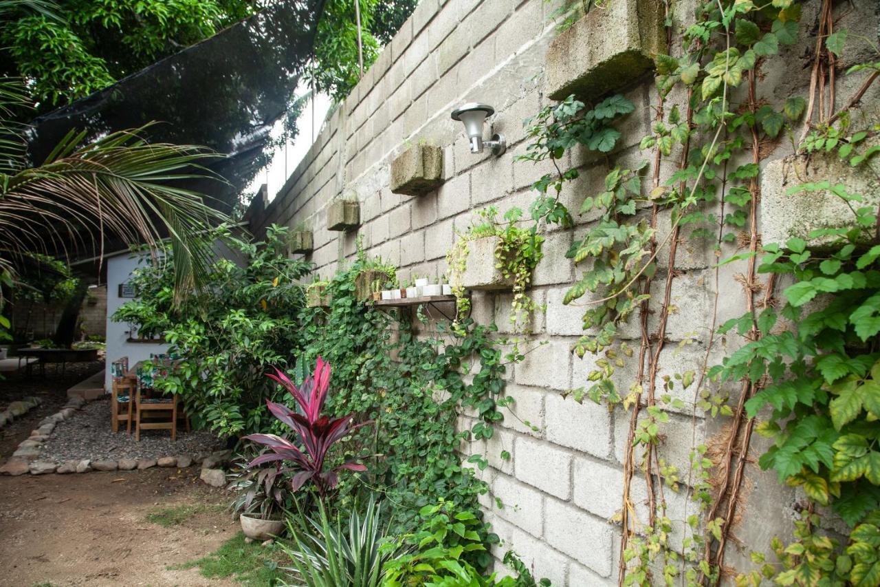 Hostal Hermoso Palomino Exterior photo